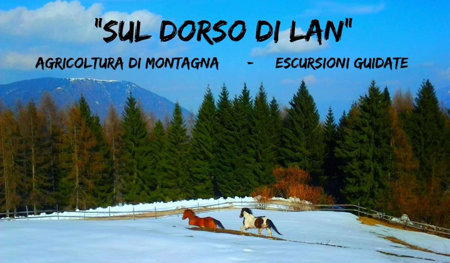 Consorzio Tutela Fagiolo di Lamon - Il Consorzio - Aziende - Sul dorso di Lan