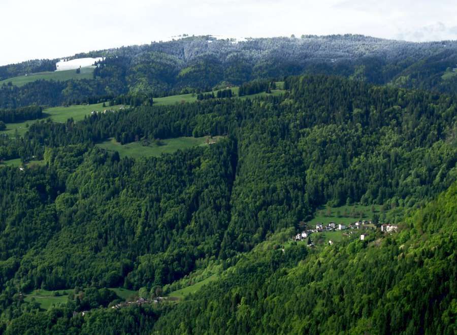 Consorzio Tutela Fagiolo di Lamon - Il territorio -  Una vista di Arina 	