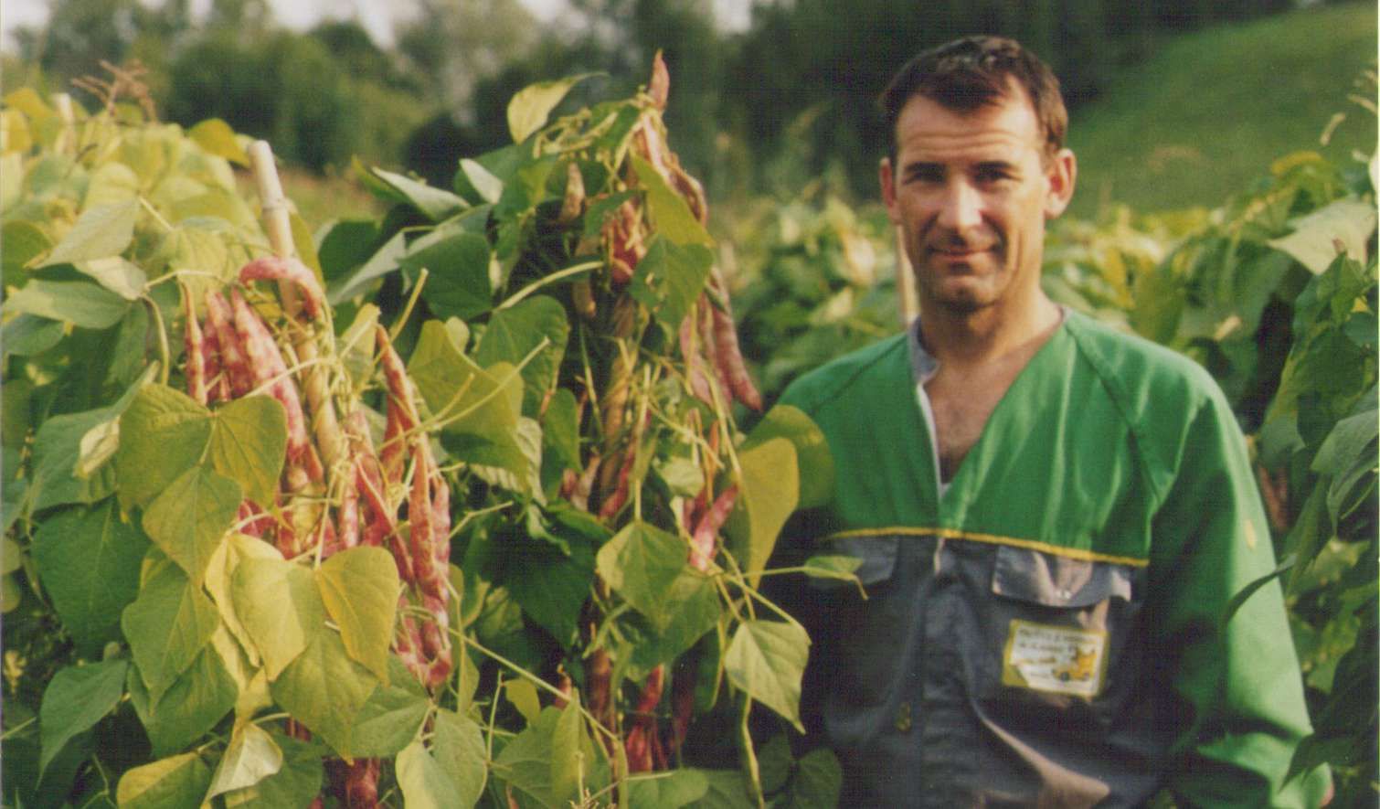 Consorzio Tutela Fagiolo di Lamon - Il Consorzio - Aziende - Dal Pont Claudio