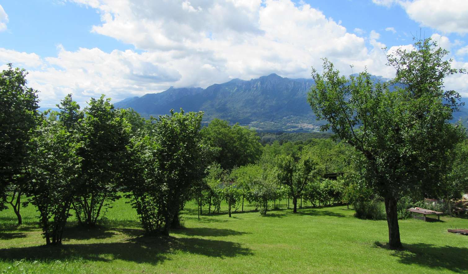 Consorzio Tutela Fagiolo di Lamon - Il Consorzio - Aziende - Azienda Agricola Vedana Lilia